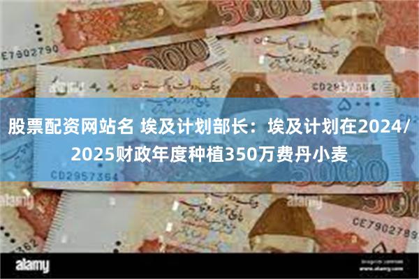 股票配资网站名 埃及计划部长：埃及计划在2024/2025财政年度种植350万费丹小麦