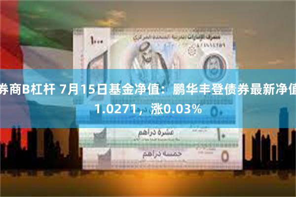 券商B杠杆 7月15日基金净值：鹏华丰登债券最新净值1.0271，涨0.03%