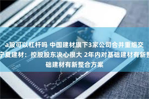 a股可以杠杆吗 中国建材旗下3家公司合并重组交易不顺 宁夏建材：控股股东决心很大 2年内对基础建材有新整合方案