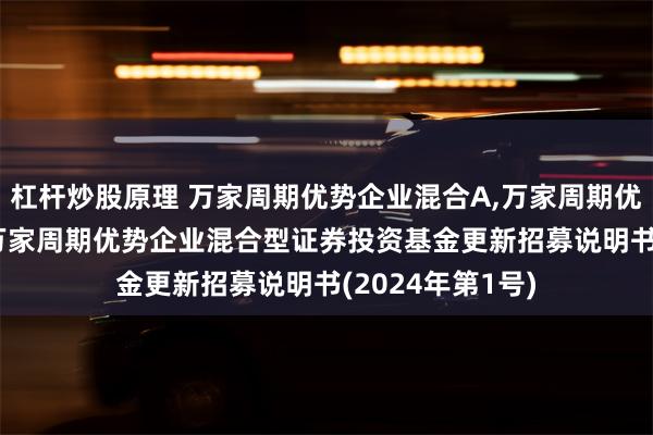 杠杆炒股原理 万家周期优势企业混合A,万家周期优势企业混合C: 万家周期优势企业混合型证券投资基金更新招募说明书(2024年第1号)