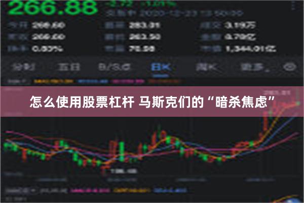 怎么使用股票杠杆 马斯克们的“暗杀焦虑”