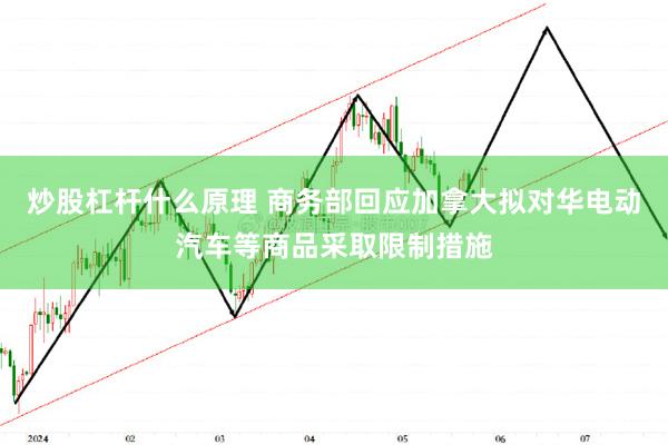 炒股杠杆什么原理 商务部回应加拿大拟对华电动汽车等商品采取限制措施