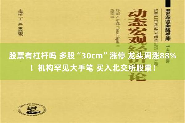 股票有杠杆吗 多股“30cm”涨停 龙头周涨88%！机构罕见大手笔 买入北交所股票！