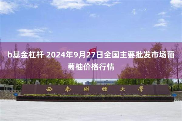 b基金杠杆 2024年9月27日全国主要批发市场葡萄柚价格行情