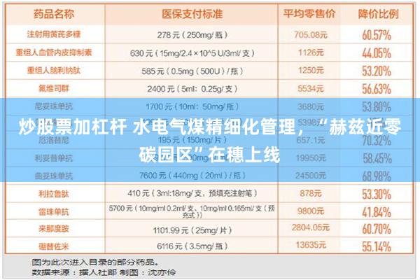 炒股票加杠杆 水电气煤精细化管理，“赫兹近零碳园区”在穗上线